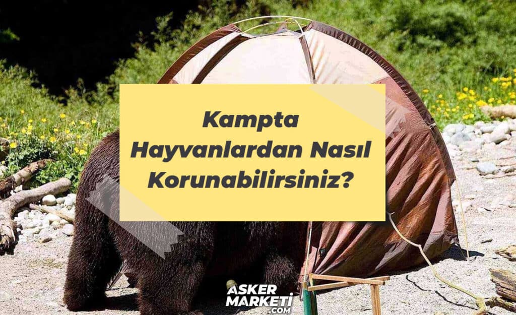 Kampta Hayvanlardan Nasıl Korunabilirsiniz?