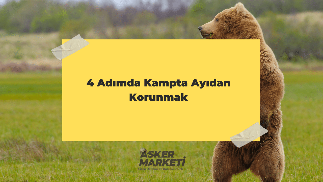 4 Adımda Kampta Ayıdan Korunmak 1 4 Adımda Kampta Ayıdan Korunmak