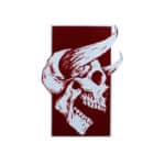 Devil Horn seytan boynuzu kuru kafa skull cirt cirtli pec patch arma1