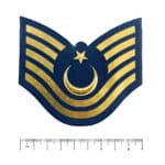 jandarma asayis astsubay kidemli ustcavus rutbe pec arma cirtli