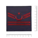 jandarma erbas uzman cavus iki cift kazik cirtli asayis rutbe pec arma